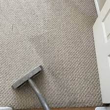 zebra phoenix carpet and tile cleaning