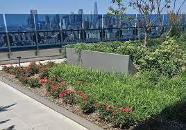 Green Roofs Vertical Gardens Nyc Street