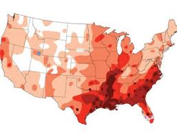 Heartworm Flea Preventative Chart American Pit Bull