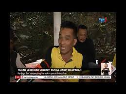 Cele mai ieftine opțiuni de cazare pentru călătoria dvs. N8 Taman Serendah Sekebun Bunga Makin Dilupakan 6 Jan 2019 Youtube
