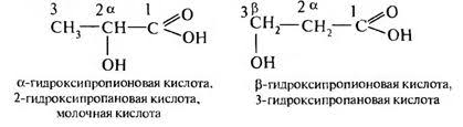 Органическая химия - Гидроксикислоты