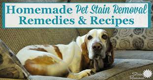 home pet remedy removal stain recipes