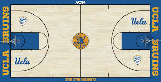 Image result for Basketball court designs