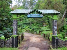 Desa setianegara is a village in western java and has an elevation of 930 metres. Sejuknya Wisata Alam Palutungan Di Kuningan Indonesia Kaya