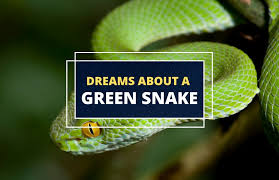 dreams about green snakes meaning and