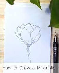 how to draw flowers step by step
