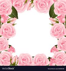 pink rose flower frame border royalty