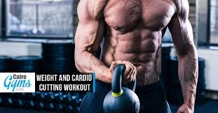6 day weight and cardio cutting workout
