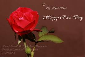 Image result for happy rose day