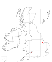 Equisetum ramosissimum | Online Atlas of the British and Irish Flora