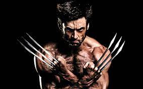 100 wolverine wallpapers wallpapers com