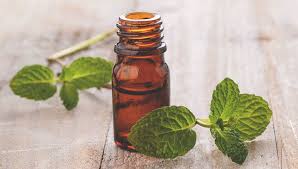 does peppermint oil repel spiders