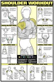 Details About Shoulder Workout Professional Weight Training Fitness Chart Poster Co Ed Edn