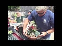 How To Make A Succulent Dish Garden In