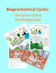 Download biogeochemical cycles webquest key document. Biogeochemical Cycles Nitrogen Cycle Carbon Cycle Biology Lessons