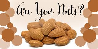 Image result for Nuts.