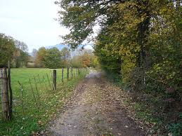 Chemin de campagne |