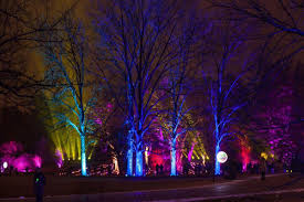 Lighting Up The Night Morton Arboretum Presents Annual