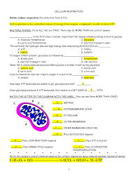 During photosynthesis, carbon dioxide and water combine with solar energy to create glucose , a carbohydrate (c 6 h 12 o 6 ), and oxygen. Cellular Respiration Review Worksheet Answers Photosynthesis And Cellular Respiration Cellular Respiration Biology Worksheet