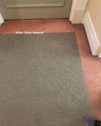 stain removal carpet repairs