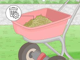 how to dethatch a lawn 9 steps with