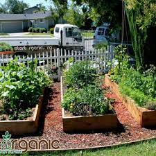 Startorganic Vegetable Garden Service