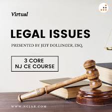 virtual legal issues by jeff dollinger
