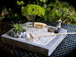 Garden Tray With Zen Garden