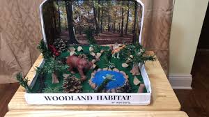 Fun project that will keep any kid busy for hours!!! Woodland Forest Habitat Diorama Project Youtube