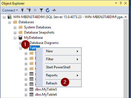 drop table sql server exles with t
