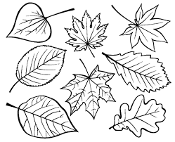 Трафареты листьев