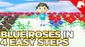 how to get blue roses in 4 easy steps