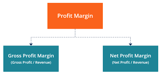 Profit Margin Guide Examples How To Calculate Profit Margins