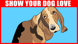 9 ways to tell your dog you love them