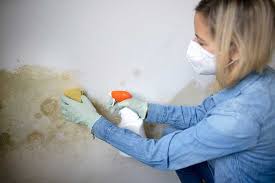Get Rid Of Mould In Your Al Property