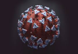 The name coronavirus is derived from latin corona, meaning crown or wreath, itself a borrowing from greek κορώνη korṓnē, garland, wreath. Coronavirus Disease Covid 19 What Is It Symptoms Causes Prevention