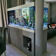 Glamorous And Outclass Wall Aquarium Mounted Decoration Ideas And Designs|Modern  House Fish Tank in 2022 | Wall aquarium, Home aquarium, Fish tank gambar png