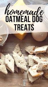 how to make homemade oatmeal dog treats