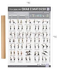 Resistance Band Tube Exercise Poster Now Laminated Total