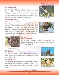 science chapter 4 nestling habits of birds