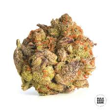 Bulk seed bank has the most reliable, potent and successful strains. Bubblegum Extra Bulk Seed Bank