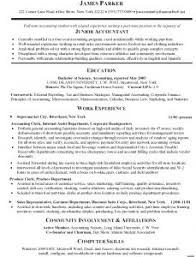 Resume examples travel consultant Leasing Agent Resume Sample Travel Agent Resume Sample Consultant Resumes  Fortune resume sample Ideal Resume For