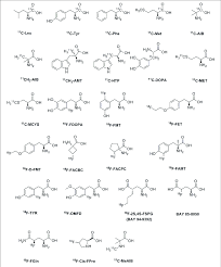 the chemical formula of amino acid pet
