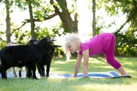 family goat yoga