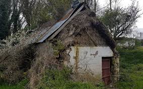 Old Thatch Under A Tin Roof Pictures