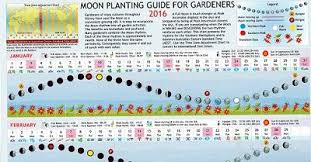 2016 Moon Planting Guide For Gardeners Stefan Mager New