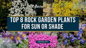 rock garden plants for sun or shade
