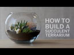 How To Build A Succulent Terrarium