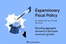 expansionary fiscal policy risks and