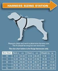 Enhanced Strength Tru Fit Dog Car Harness Dog Harness Dog